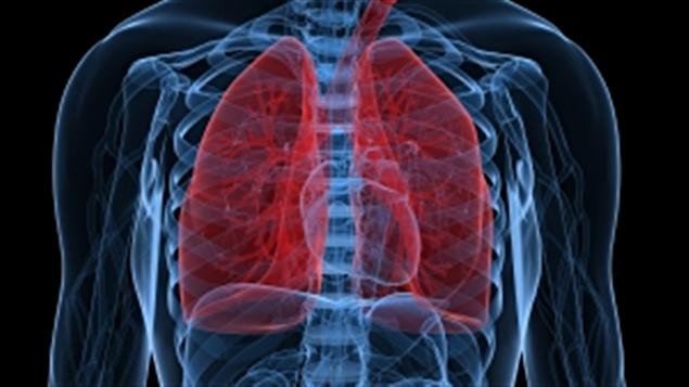 Comment retrouver des poumons sains après avoir fumer ? post thumbnail image